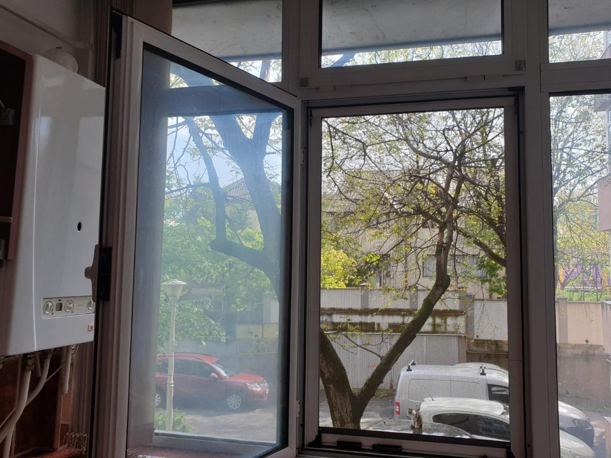 3 Camere Central Iasi Extérieur photo